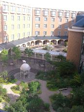 ��������̒��땗�i